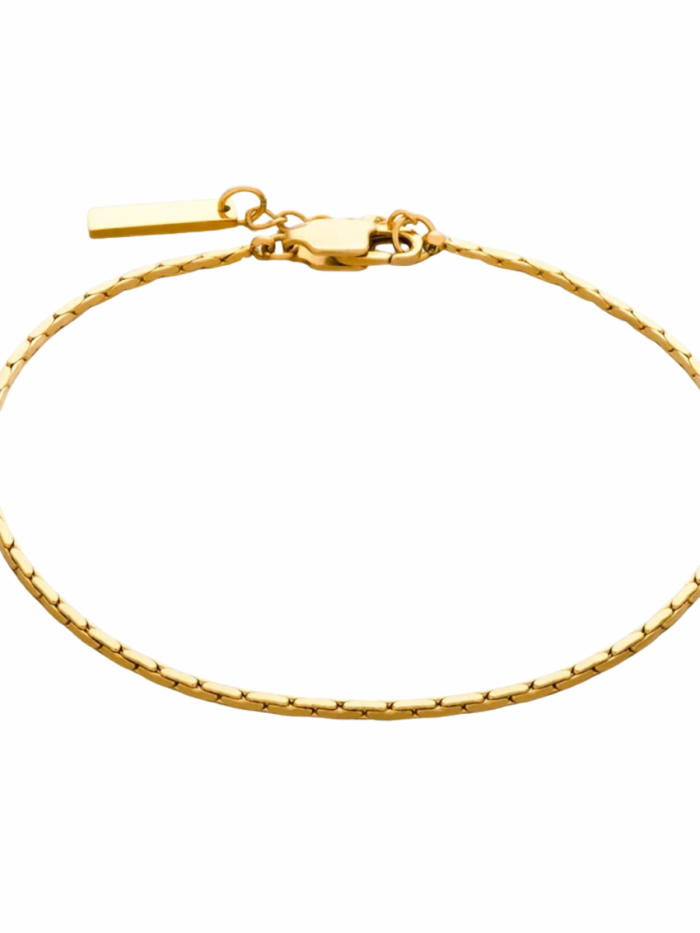 Bracciale da uomo in acciaio inox regolabile color oro, catena sottile con piastrina rettangolare, su sfondo bianco